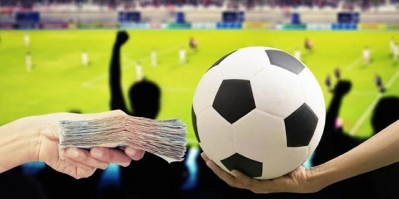 Cá Độ Bóng Đá Online