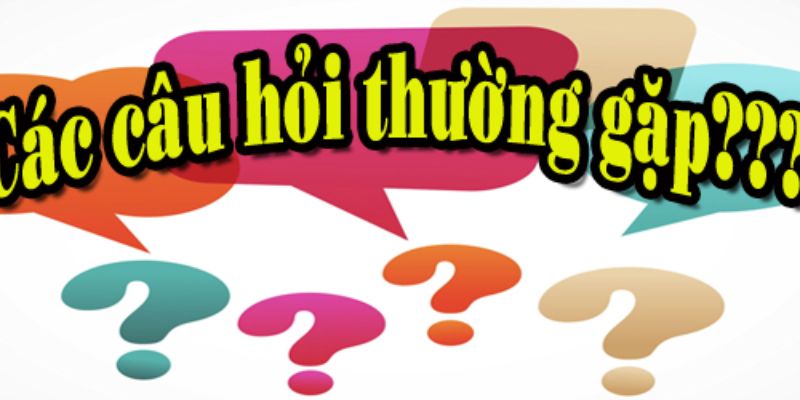 câu hỏi thường gặp