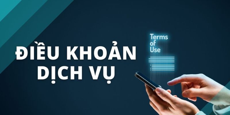 Điều Khoản Và Dịch Vụ