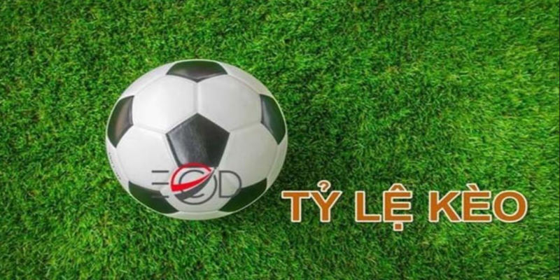Tại sao nên chọn kèo nhà cái uy tín